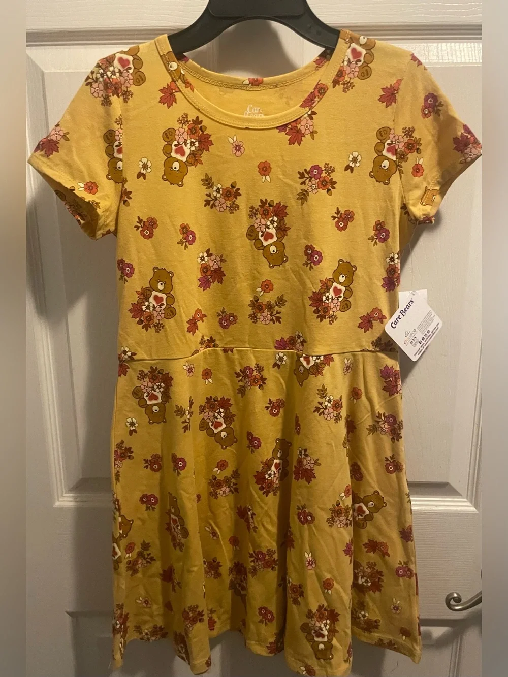 Care Bears Girls Tenderheart Floral Skater Dress L 10/12 NWT